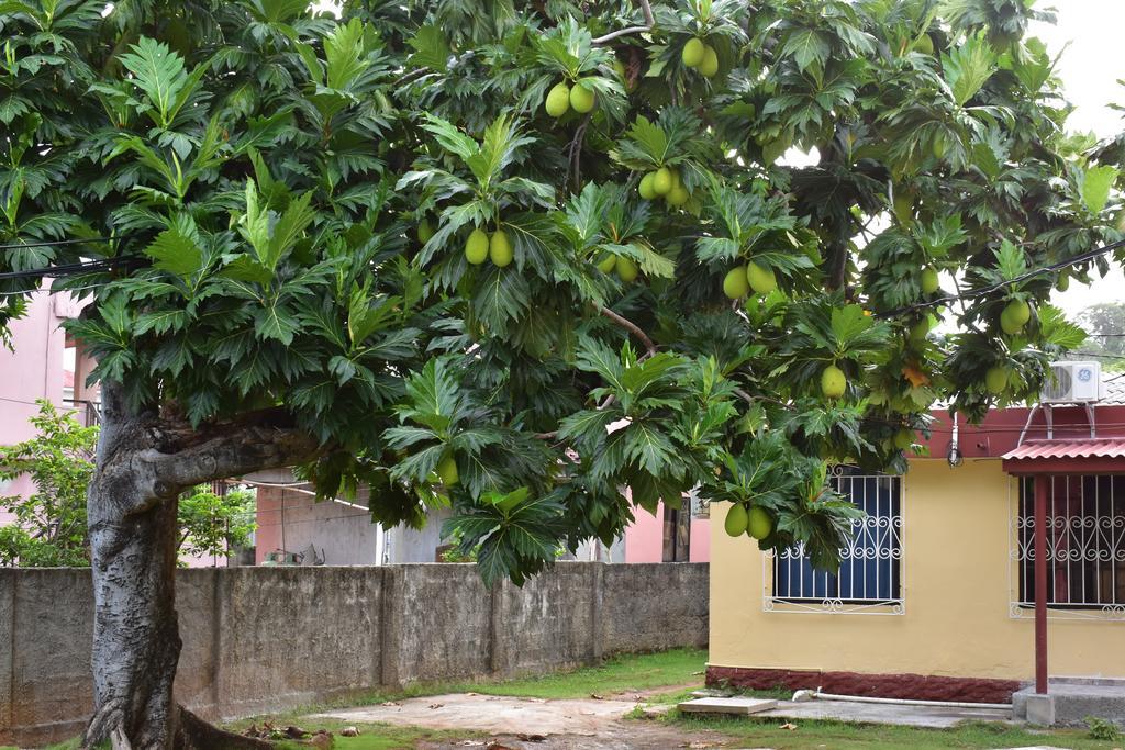 Posada James San Andrés Eksteriør bilde